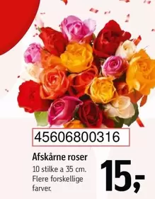 Roser - Afskårne roser