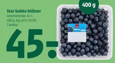 Stor bakke blåbær
