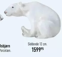 Isbjørn