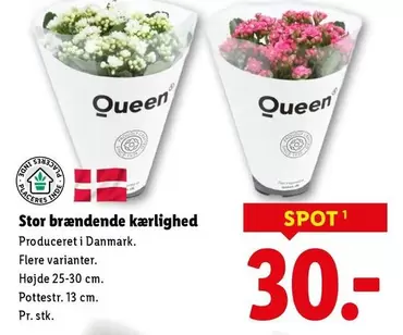 brændende kærlighed