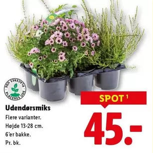 Udendørsmiks