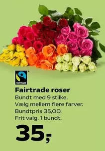 Roser - Fairtrade roser