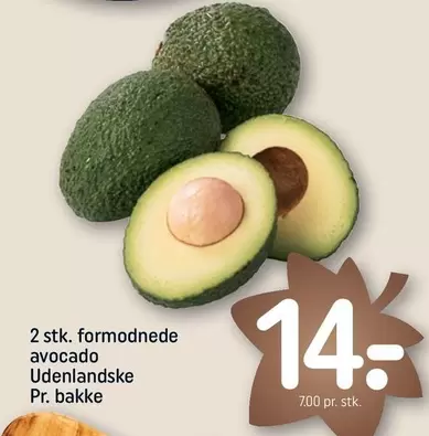 Avocado
