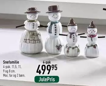 Snefamilie