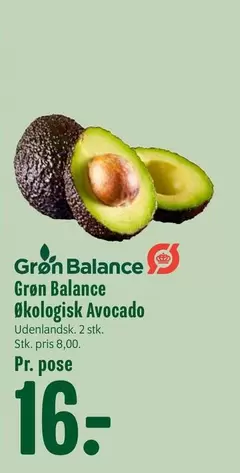 Økologisk Avocado
