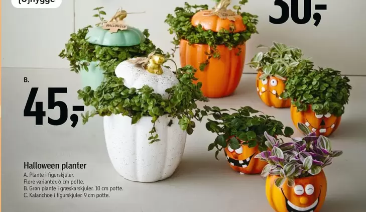Halloween planter