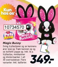 Magic Bunny