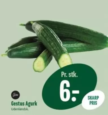 Agurk