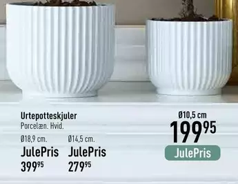 Urtepotteskjuler