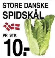 SPIDSKÅL