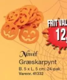 Græskarpynt