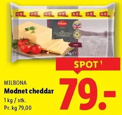 Modnet cheddar