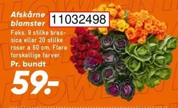 Roser - Afskárne blomster