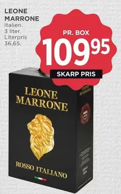 MARRONE
