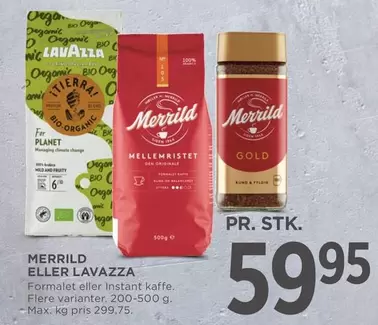Bio - MERRILD ELLER LAVAZZA