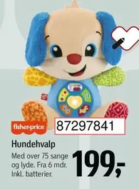 Hundehvalp