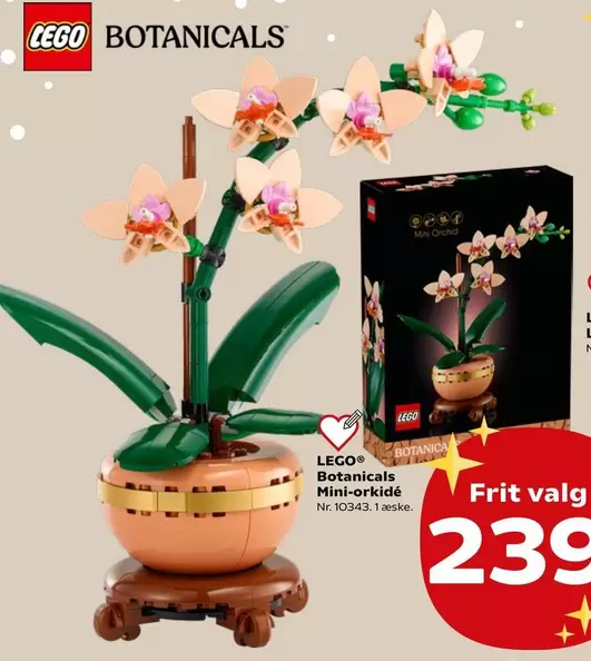 Lego - Botanicals Mini-orkidé