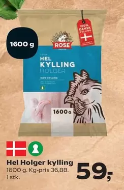 Rose - Holger kylling