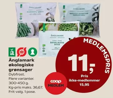 økologiske grønsager