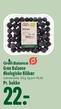 Økologiske Blåbær