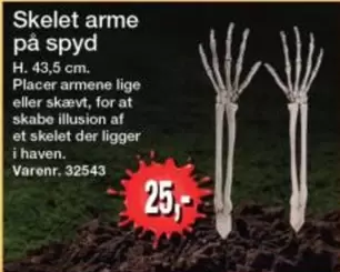 Skelet arme på spyd