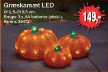 Græskarsæt LED