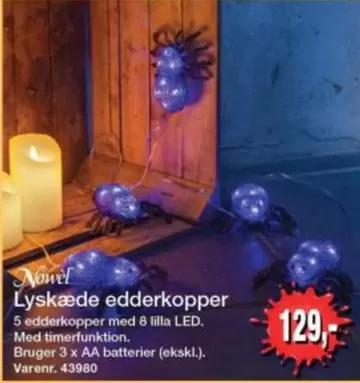 Lyskæde edderkopper