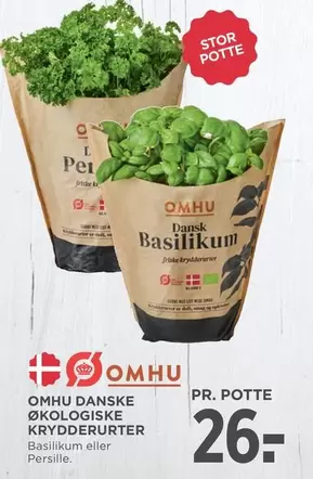 Dansk Basilikum eller Persille