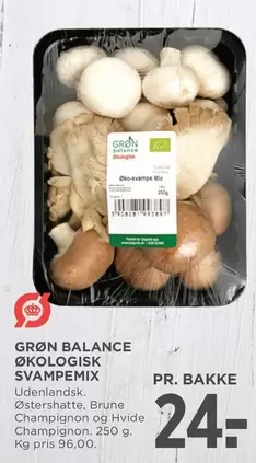 ØKOLOGISK SVAMPEMIX