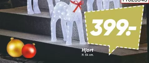 Hjort