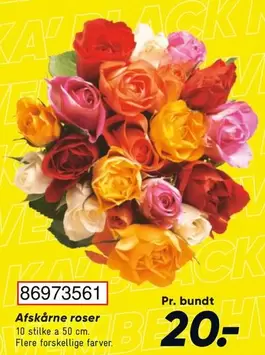 Roser - Afskårne roser