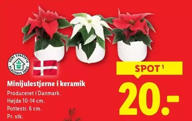 Keramik - Minijulestjerne i keramik