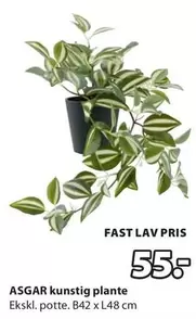 ASGAR kunstig plante