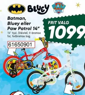 Batman - , Bluey eller Paw Patrol 14"