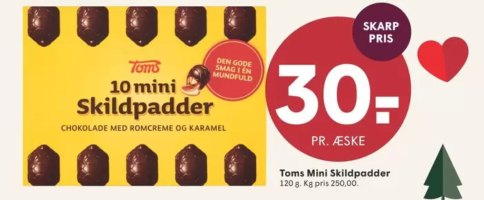 Den - 10 mini Skildpadder