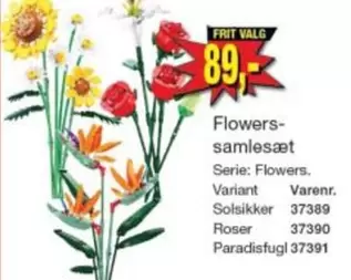 Roser - Flowers-samlesæt