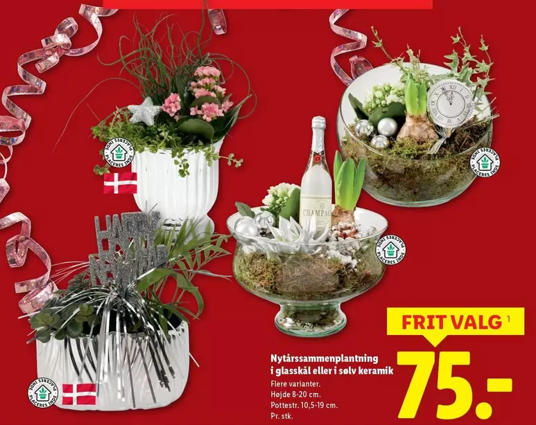 Keramik - Nytårssammenplantning