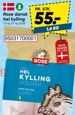 Rose - HEL KYLLING HOLGER