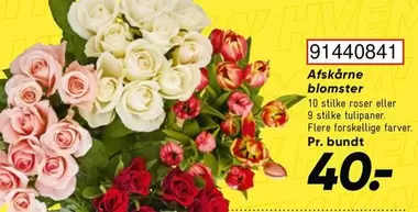 Roser - Afskårne blomster