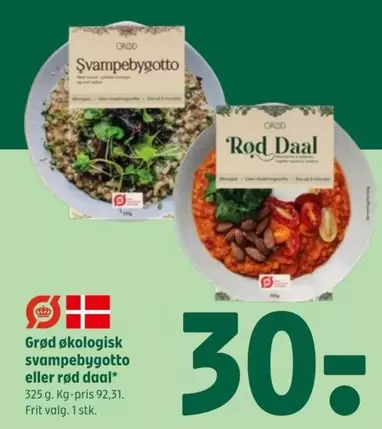 svampebygotto eller rød daal