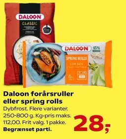 forårsruller eller spring rolls