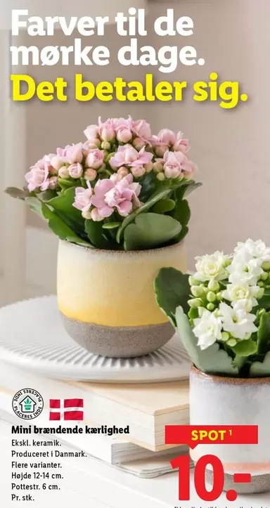 Keramik - Mini brændende kærlighed