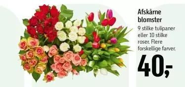 Roser - Afskårne blomster