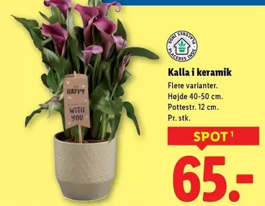 Keramik - Kalla i keramik