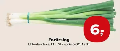 Forårsløg