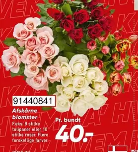 Roser - Afskårne blomster