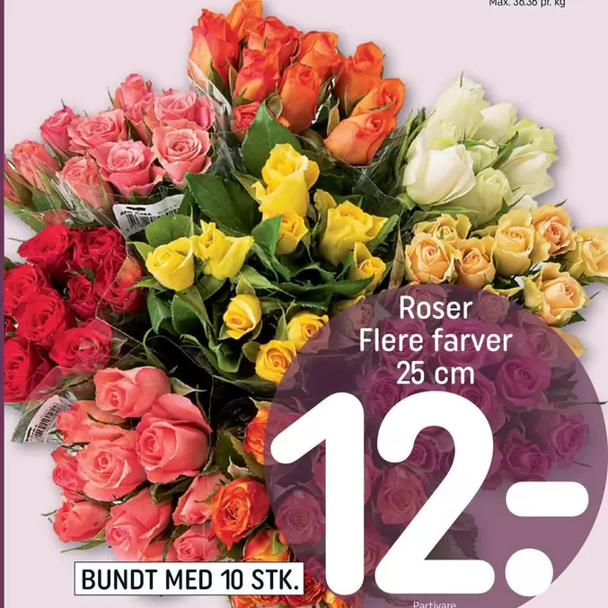 Roser -  Flere farver