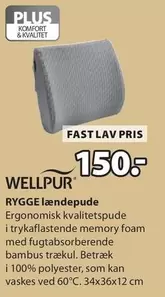 RYGGE lændepude