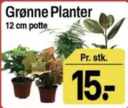Grønne Planter