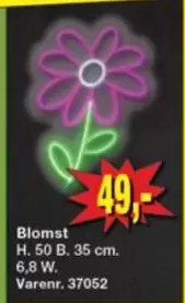 Blomst
